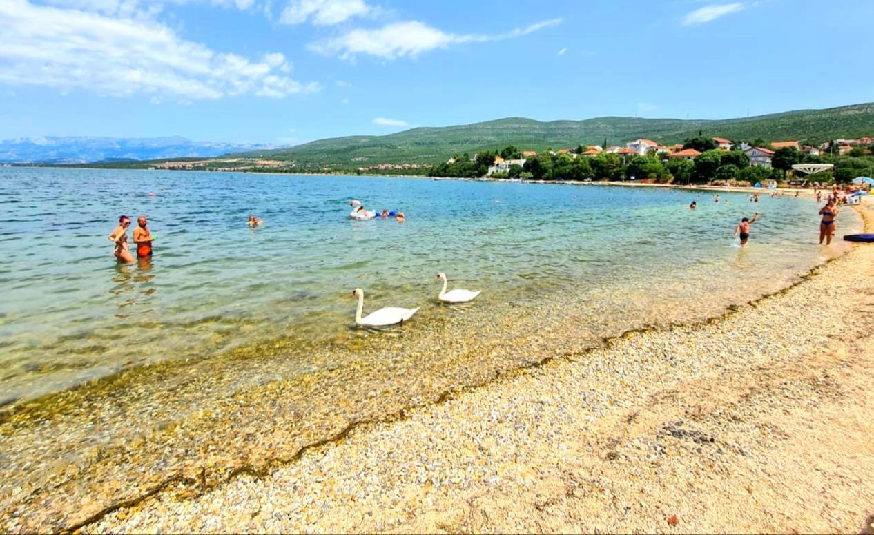 Babaloo * Gornji Karin
